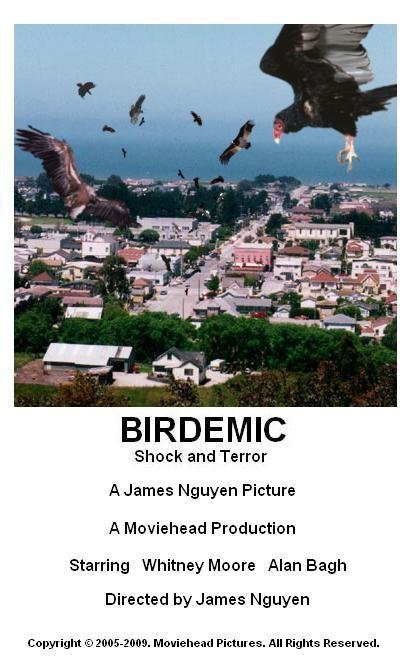 Affiche de Birdemic: Shock and Terror