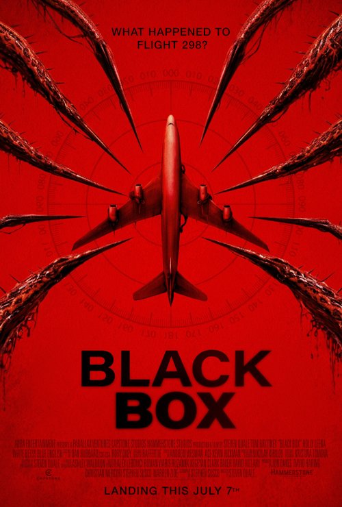 Affiche de Black Box